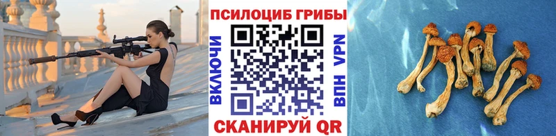Галлюциногенные грибы Cubensis  MEGA ТОР  Екатеринбург 