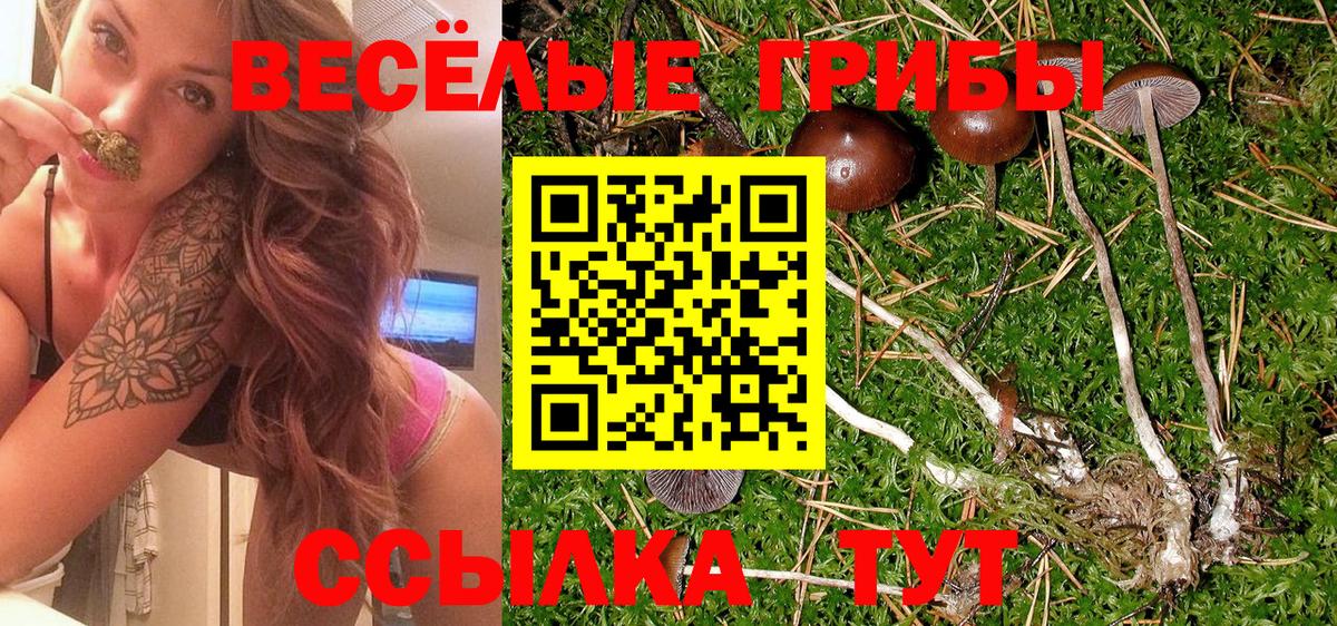 Галлюциногенные грибы мицелий  купить   Екатеринбург  Вход с VPN 